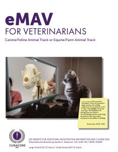 eMAV Thumbnail