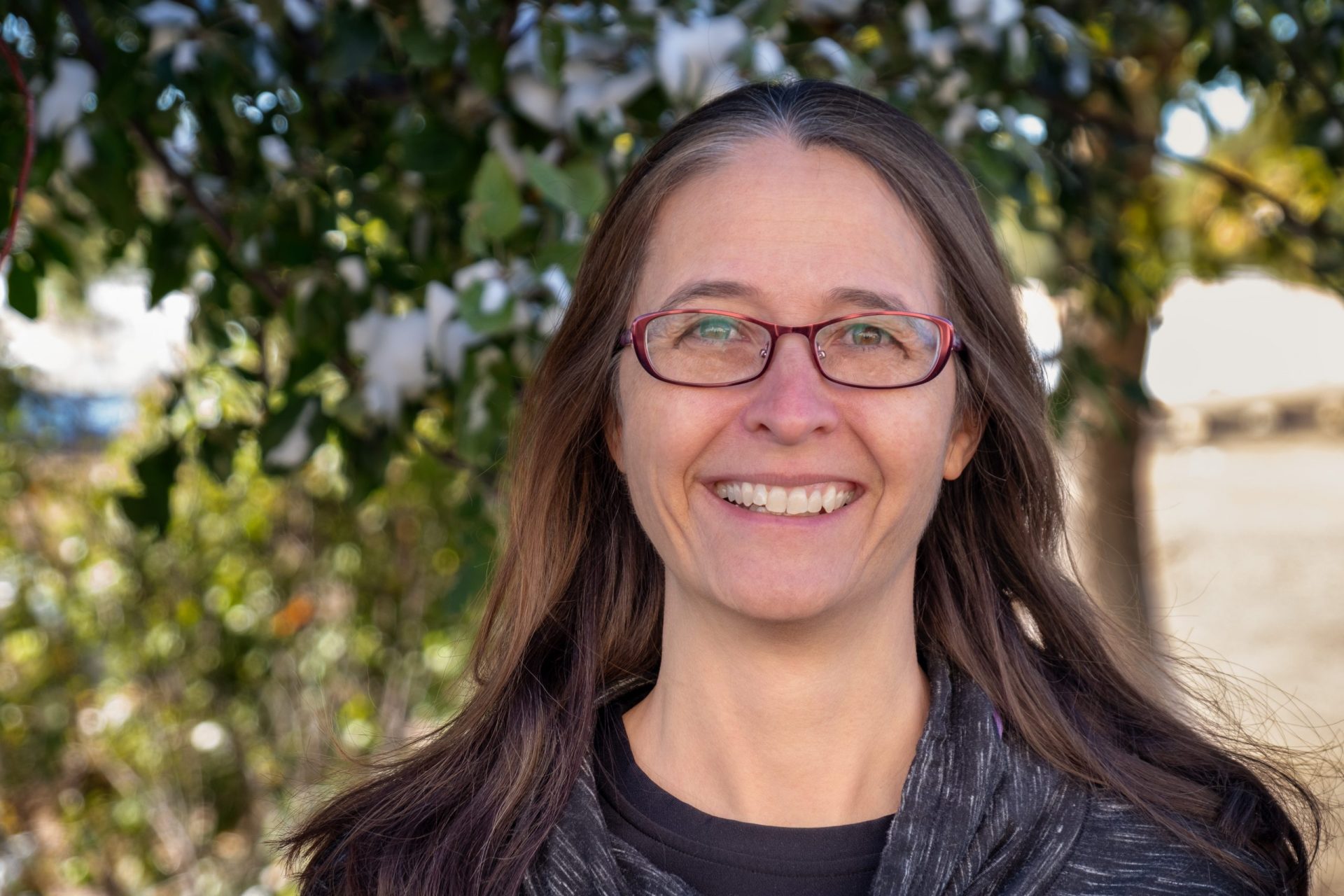 Wendy Harley, DVM, cVMA